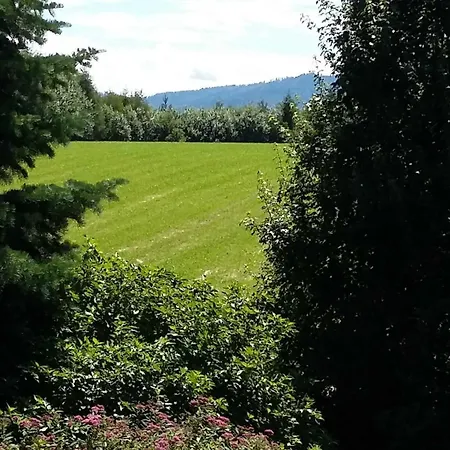 Homestay In Haidach Seewalchen