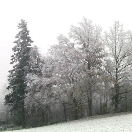 In Haidach * Seewalchen