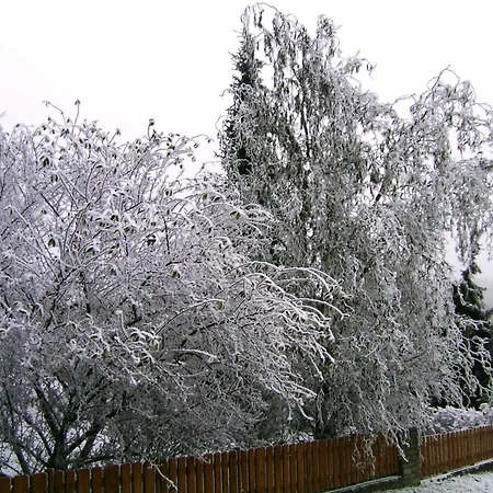 Homestay In Haidach