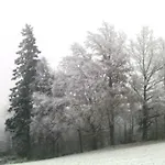 In Haidach * سيوالتشين