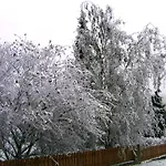 منزل للإقامة In Haidach