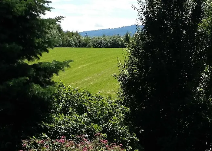 Pansiyon In Haidach Seewalchen