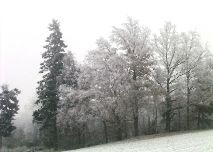 In Haidach * Seewalchen